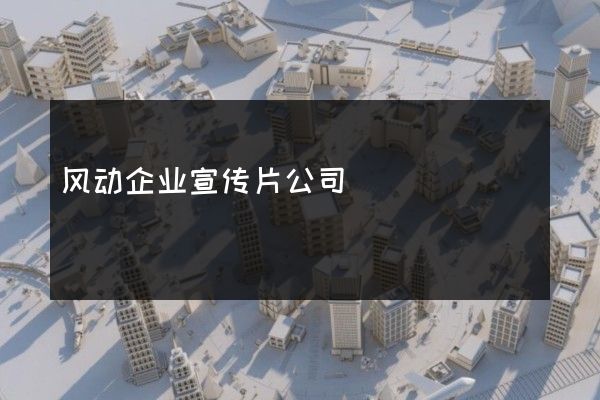 风动企业宣传片公司