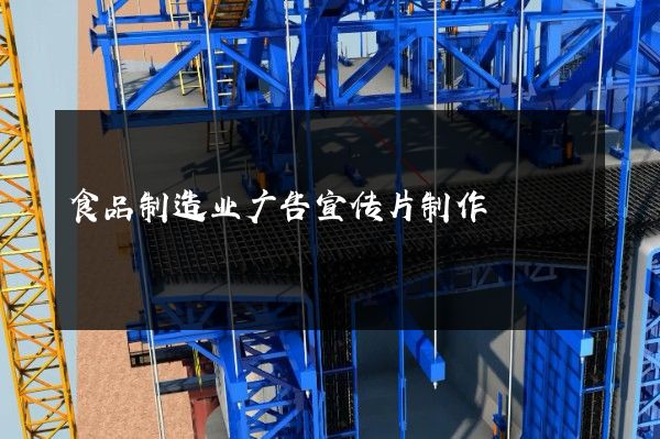 食品制造业广告宣传片制作