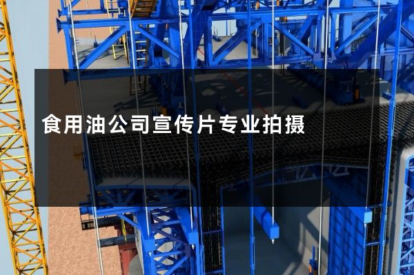 食用油公司宣传片专业拍摄