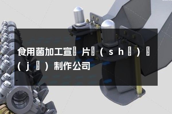 食用菌加工宣傳片設(shè)計(jì)制作公司