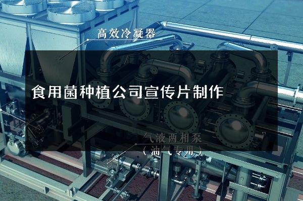 食用菌种植公司宣传片制作