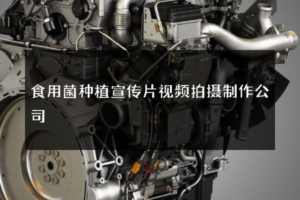 食用菌种植宣传片视频拍摄制作公司