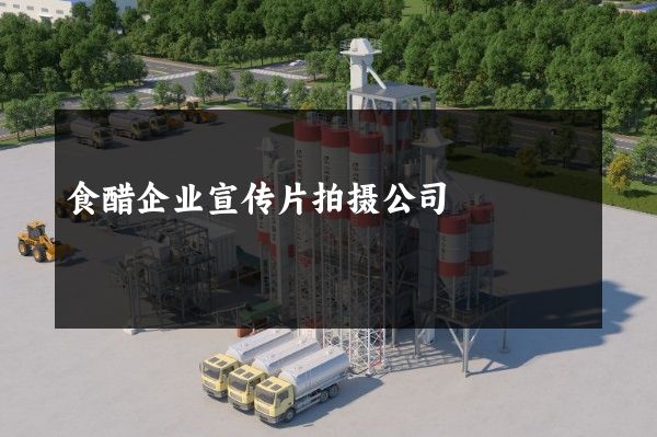 食醋企业宣传片拍摄公司