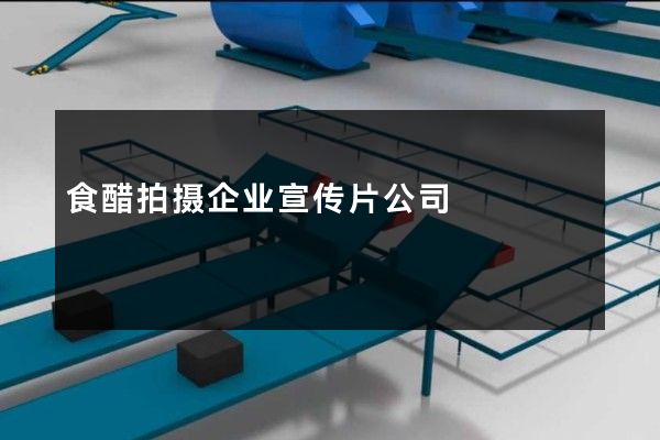 食醋拍摄企业宣传片公司