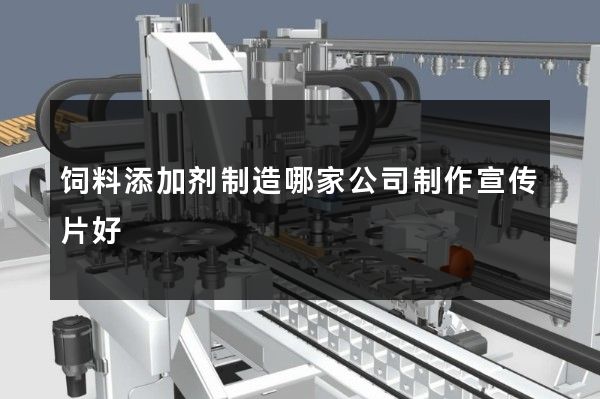 饲料添加剂制造哪家公司制作宣传片好