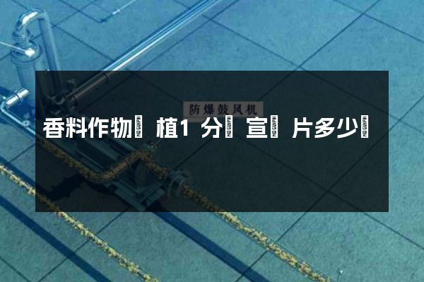 香料作物種植1分鐘宣傳片多少錢