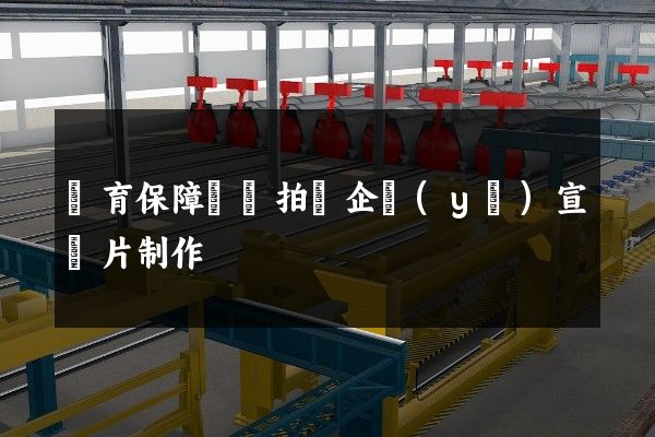 體育保障組織拍攝企業(yè)宣傳片制作