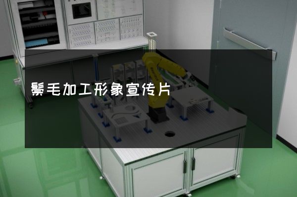 鬃毛加工形象宣传片