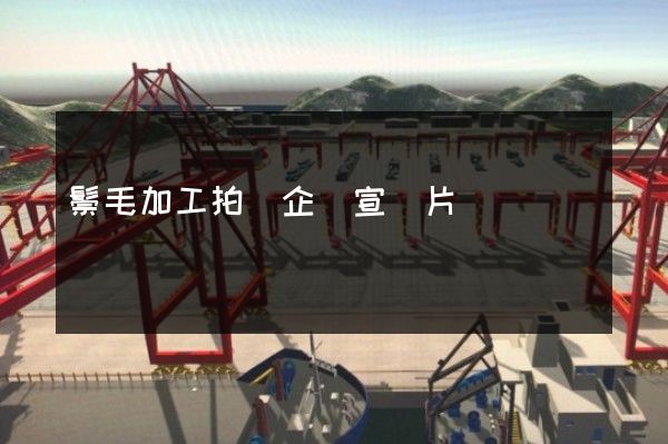 鬃毛加工拍攝企業宣傳片