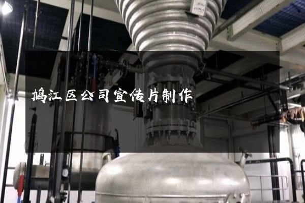鸠江区公司宣传片制作