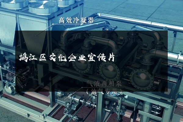鸠江区文化企业宣传片