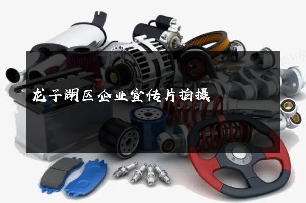 龙子湖区企业宣传片拍摄