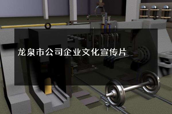 龙泉市公司企业文化宣传片
