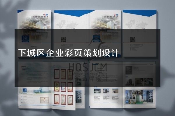 下城区企业彩页策划设计