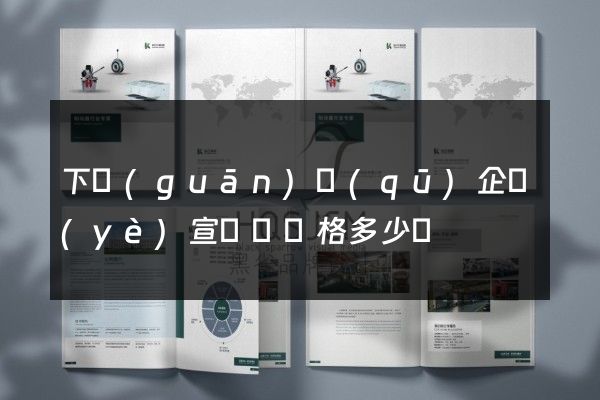 下關(guān)區(qū)企業(yè)宣傳冊價格多少錢