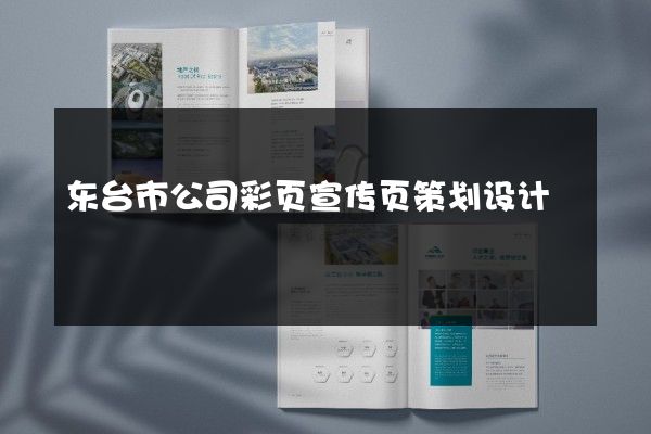 东台市公司彩页宣传页策划设计