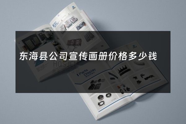 东海县公司宣传画册价格多少钱