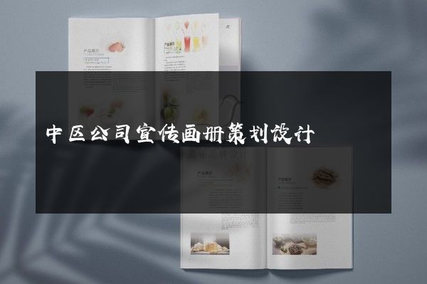 中区公司宣传画册策划设计