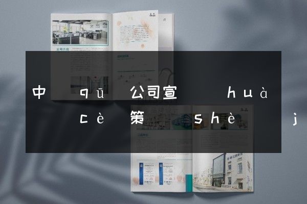 中區(qū)公司宣傳畫(huà)冊(cè)策劃設(shè)計(jì)