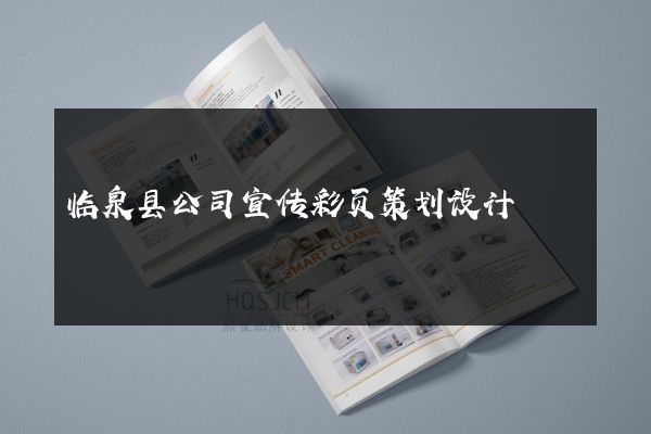临泉县公司宣传彩页策划设计