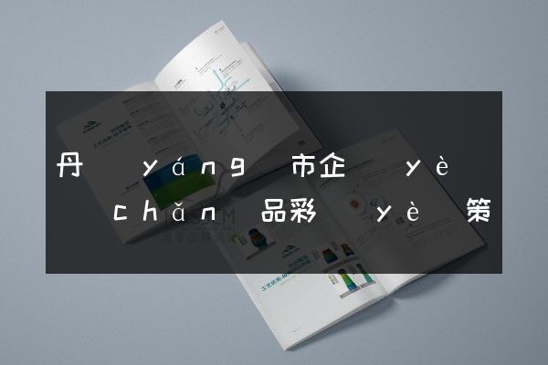 丹陽(yáng)市企業(yè)產(chǎn)品彩頁(yè)策劃設(shè)計(jì)