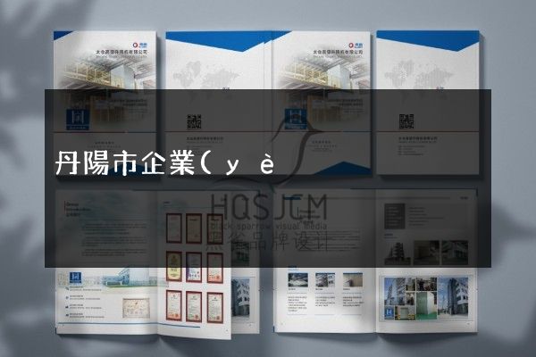 丹陽市企業(yè)產(chǎn)品彩頁策劃設(shè)計(jì)
