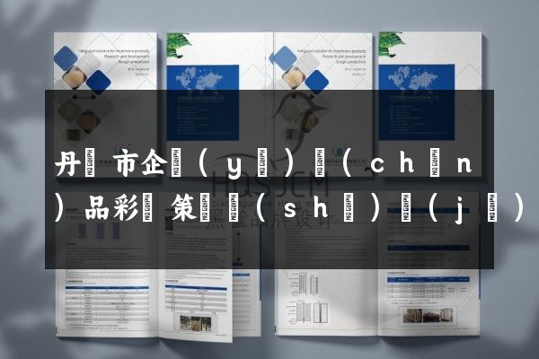 丹陽市企業(yè)產(chǎn)品彩頁策劃設(shè)計(jì)