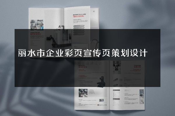 丽水市企业彩页宣传页策划设计