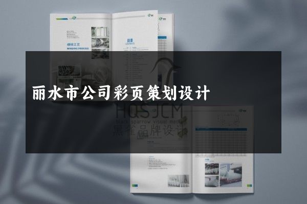 丽水市公司彩页策划设计