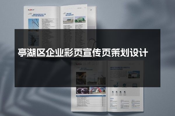 亭湖区企业彩页宣传页策划设计