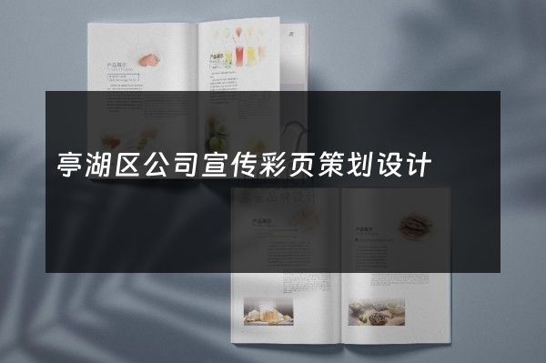 亭湖区公司宣传彩页策划设计