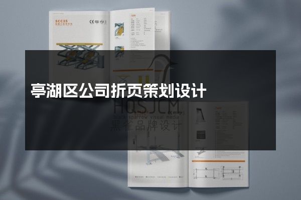 亭湖区公司折页策划设计