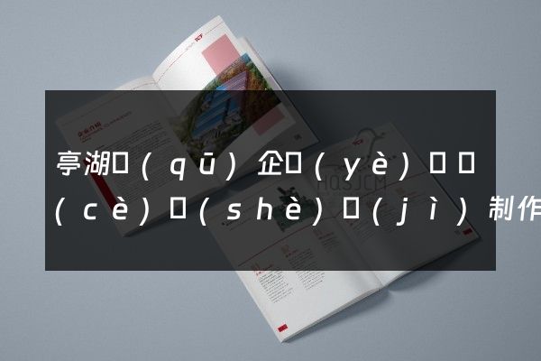 亭湖區(qū)企業(yè)畫冊(cè)設(shè)計(jì)制作