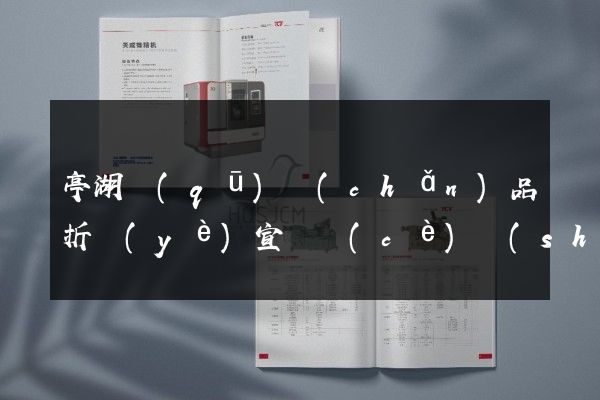 亭湖區(qū)產(chǎn)品折頁(yè)宣傳冊(cè)設(shè)計(jì)制作