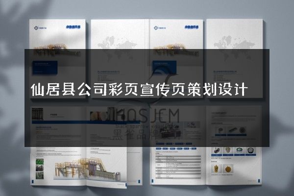 仙居县公司彩页宣传页策划设计