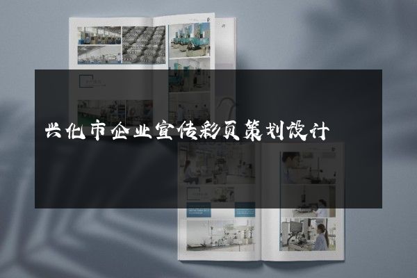 兴化市企业宣传彩页策划设计