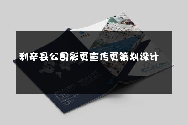 利辛县公司彩页宣传页策划设计