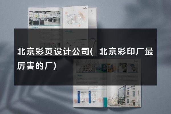 北京彩页设计公司(北京彩印厂最厉害的厂)
