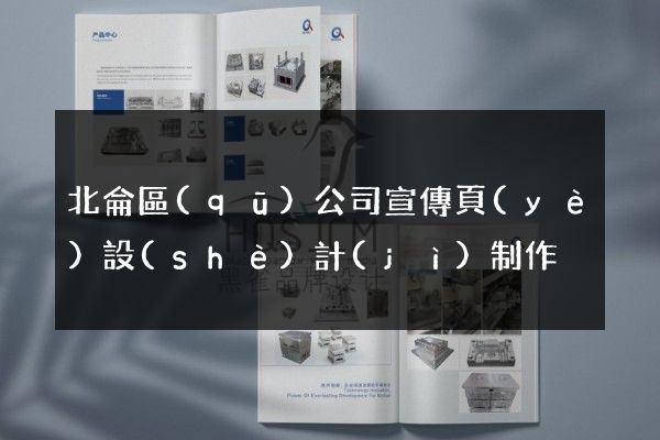 北侖區(qū)公司宣傳頁(yè)設(shè)計(jì)制作