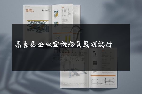 嘉善县企业宣传彩页策划设计
