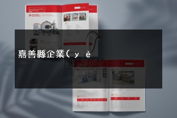 嘉善縣企業(yè)產(chǎn)品樣本策劃設(shè)計