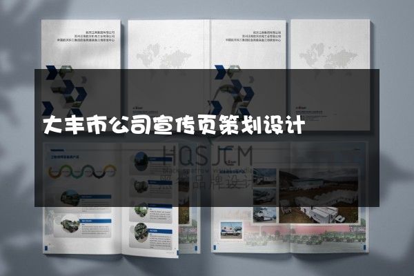 大丰市公司宣传页策划设计