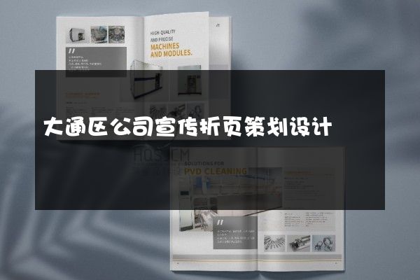 大通区公司宣传折页策划设计