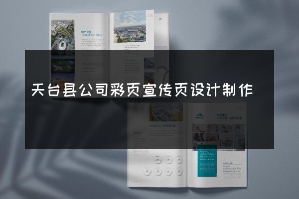 天台县公司彩页宣传页设计制作