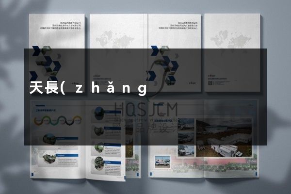 天長(zhǎng)市產(chǎn)品產(chǎn)品彩頁(yè)設(shè)計(jì)制作