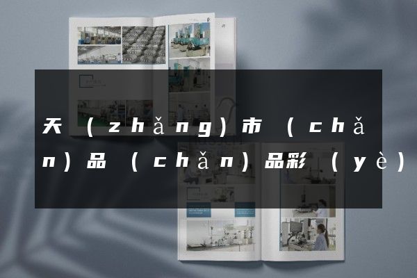 天長(zhǎng)市產(chǎn)品產(chǎn)品彩頁(yè)設(shè)計(jì)制作