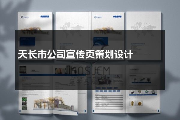 天长市公司宣传页策划设计