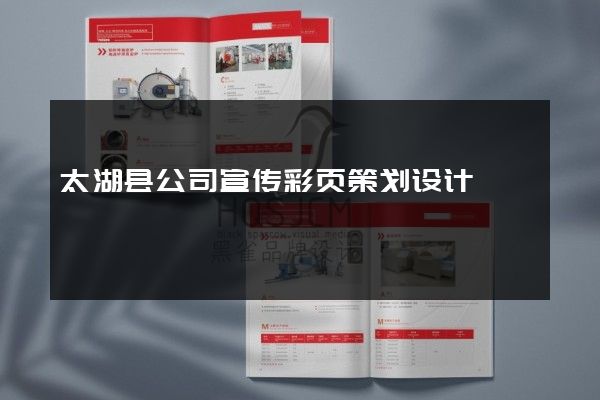 太湖县公司宣传彩页策划设计