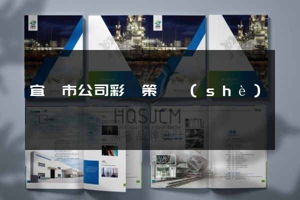 宜興市公司彩頁策劃設(shè)計