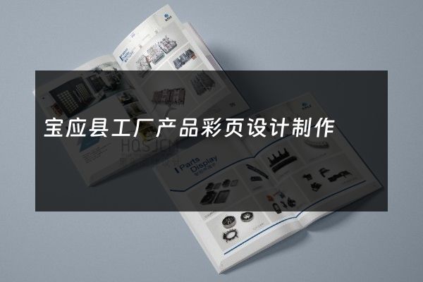 宝应县工厂产品彩页设计制作